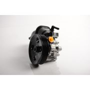 Насос гидроусилителя Chevrolet  Opel Antara  Captiva 95048324